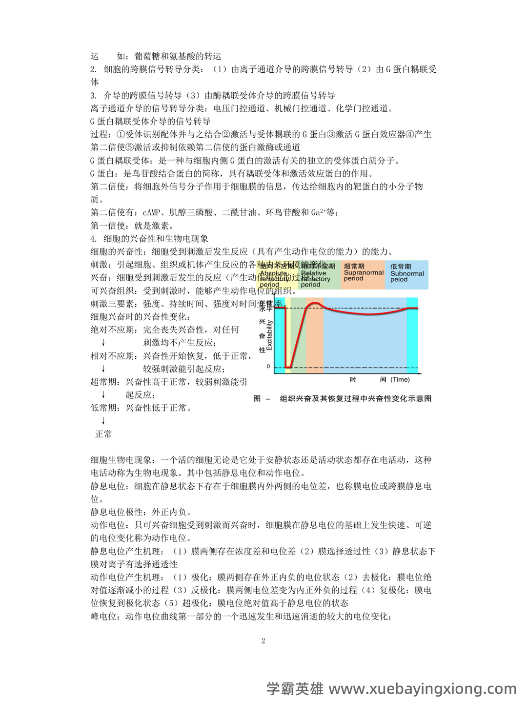 动物生理学考研复习与知识点整理大全 - 02_《动物生理学》复习资料_《动物生理学》复习资料全_第2页_学霸英雄_www.xuebayingxiong.com 动物生理学考研复习与知识点整理大全 - 02_《动物生理学》复习资料_《动物生理学》复习资料全_第2页_学霸英雄_www.xuebayingxiong.com