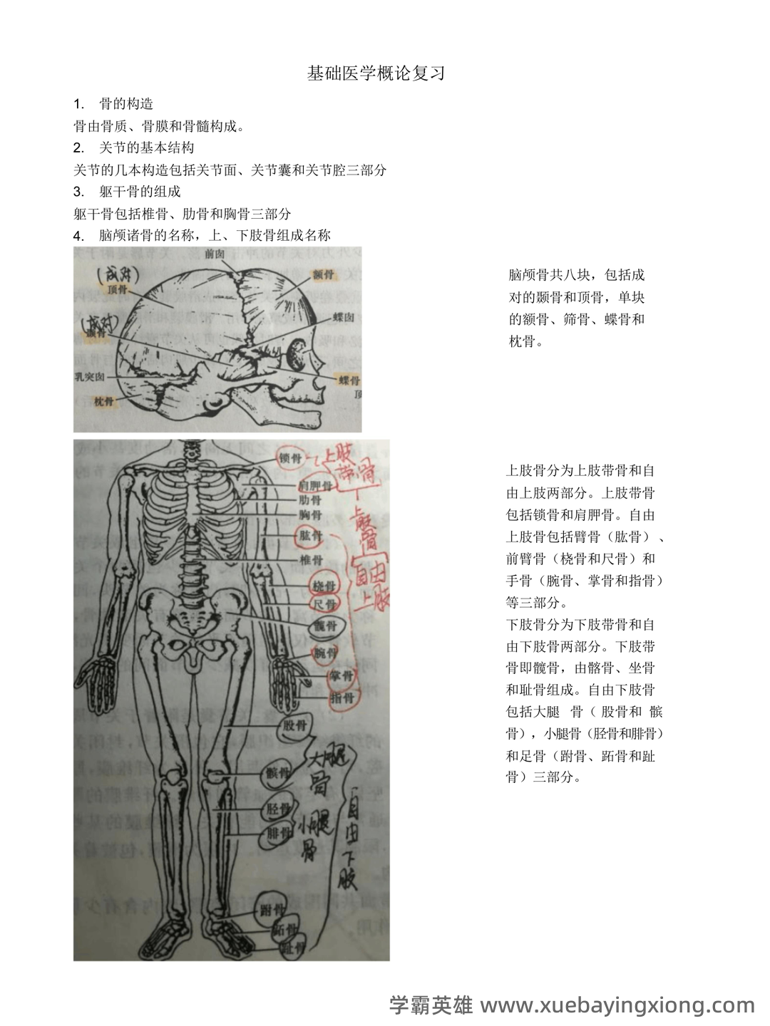 基础医学概论《全科医学概论》名词解释 - 01_《基础医学概论》复习资料_《基础医学概论》复习_第1页_学霸英雄_www.xuebayingxiong.com 基础医学概论《全科医学概论》名词解释 - 01_《基础医学概论》复习资料_《基础医学概论》复习_第1页_学霸英雄_www.xuebayingxiong.com