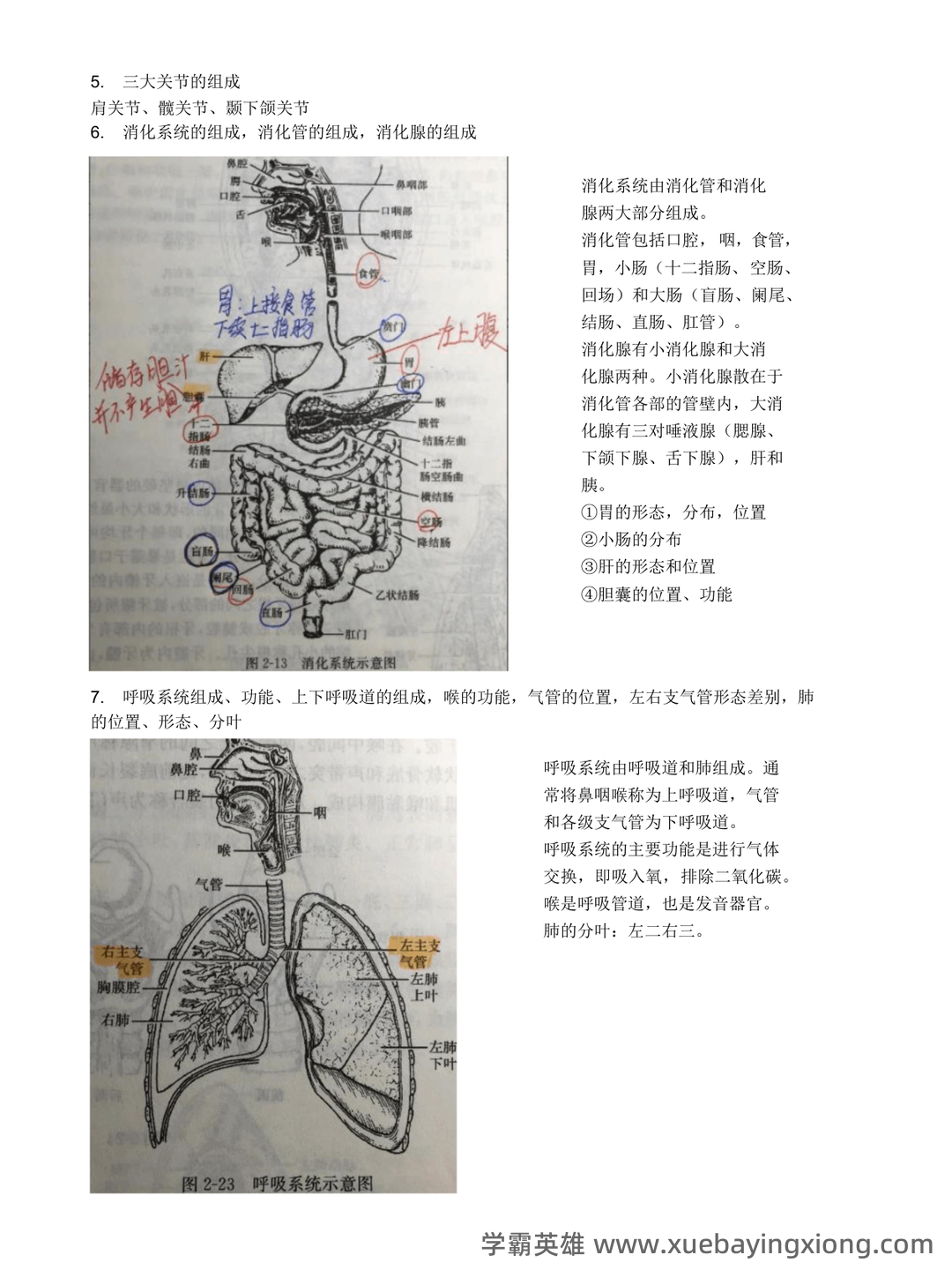 基础医学概论《全科医学概论》名词解释 - 01_《基础医学概论》复习资料_《基础医学概论》复习_第2页_学霸英雄_www.xuebayingxiong.com 基础医学概论《全科医学概论》名词解释 - 01_《基础医学概论》复习资料_《基础医学概论》复习_第2页_学霸英雄_www.xuebayingxiong.com