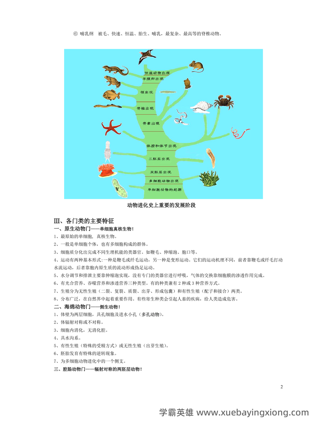 普通动物学速成复习资料：重点笔记、课后习题、期末真题及答案 - 06_《普通动物学》复习资料_《普通动物学》知识点总结(全)_第2页_学霸英雄_www.xuebayingxiong.com