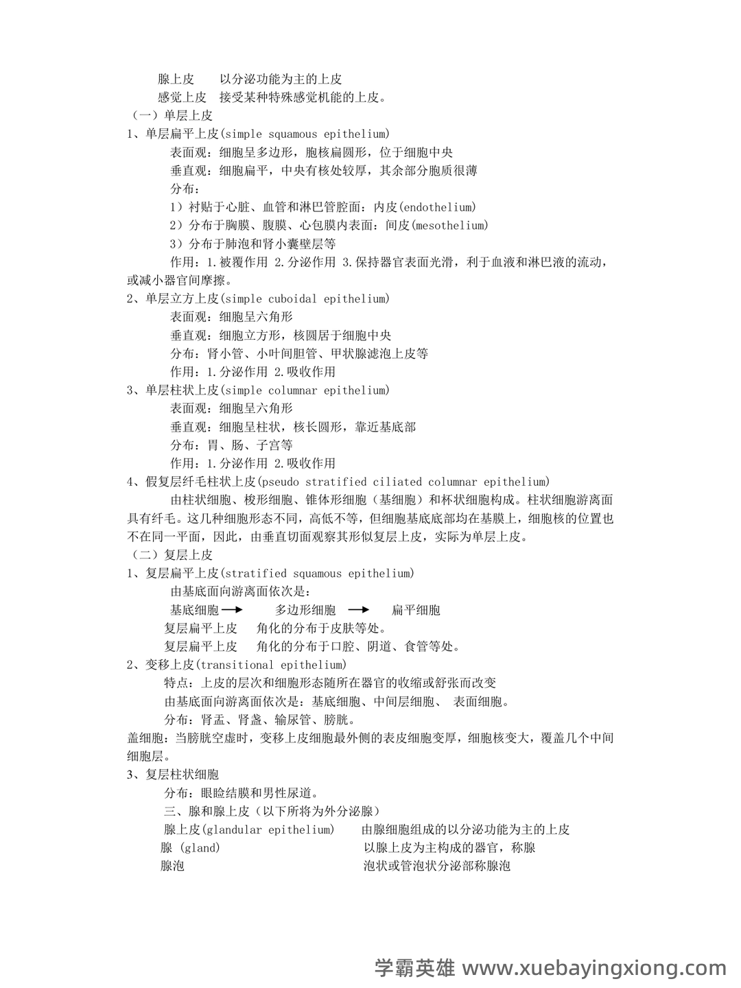《组织学与胚胎学》期末考试复习题库(含答案) - 03_《组织学与胚胎学》复习资料_《组织学与胚胎学》笔记_第2页_学霸英雄_www.xuebayingxiong.com 《组织学与胚胎学》期末考试复习题库(含答案) - 03_《组织学与胚胎学》复习资料_《组织学与胚胎学》笔记_第2页_学霸英雄_www.xuebayingxiong.com