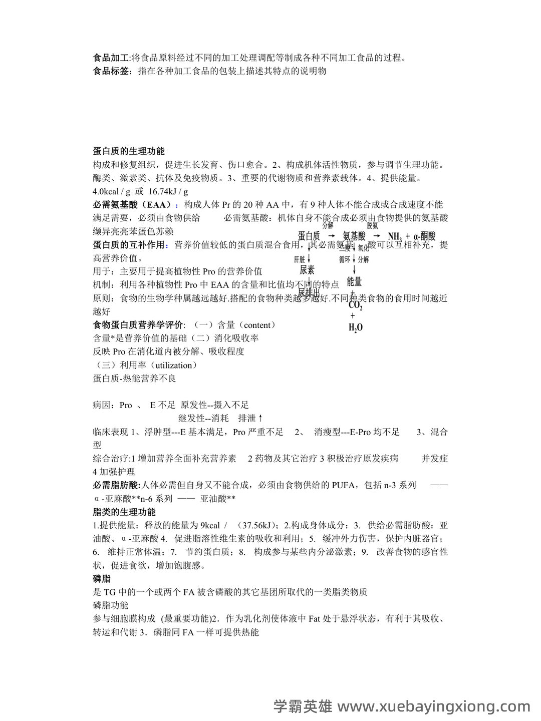 (完整版)食品营养学习题及答案.docx - 04_《食品营养学》复习资料_《食品营养学》重点知识_第2页_学霸英雄_www.xuebayingxiong.com